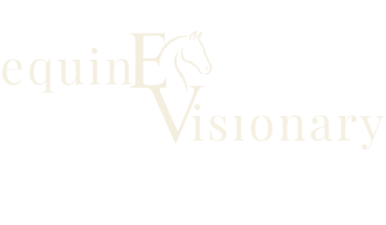 Equine Visionary